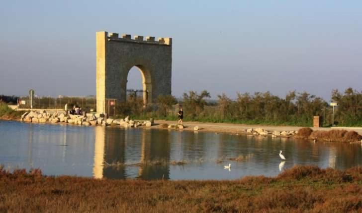 Appartement Rez De Jardin Avec Spa Entre La Mer Et Montpellier 10Mn Lattes Ngoại thất bức ảnh